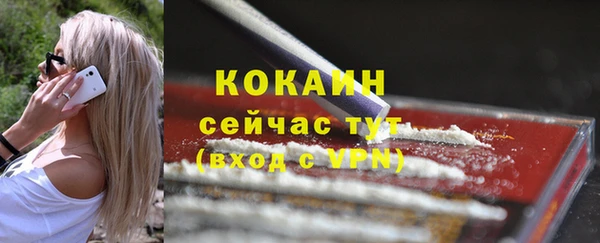 a pvp Гусев