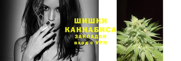 дмт Гусь-Хрустальный