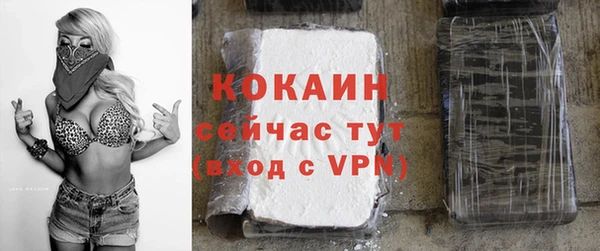 дмт Гусь-Хрустальный