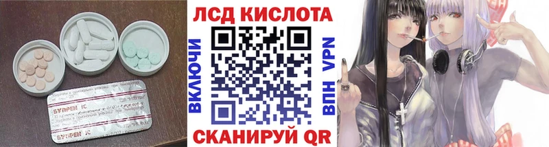 купить закладку  Дзержинск  ЛСД экстази ecstasy 